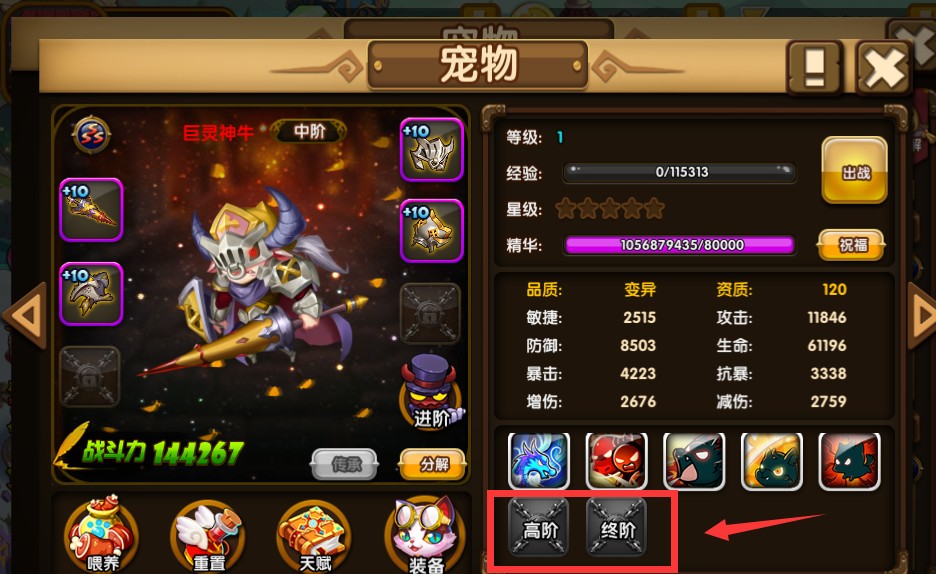 斗斗堂宠物图