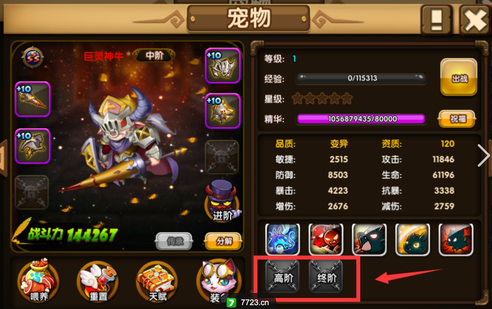 斗斗堂宠物升级