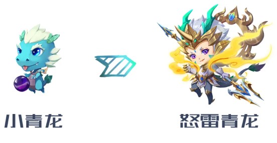 斗斗堂小青龙宠物S级进阶