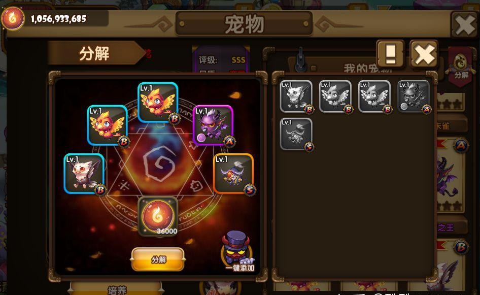 斗斗堂小朱雀宠物升阶图
