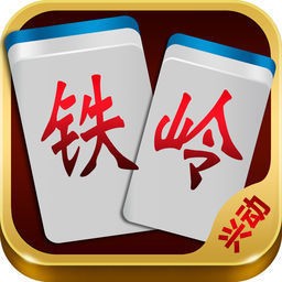 兴动铁岭棋牌软件