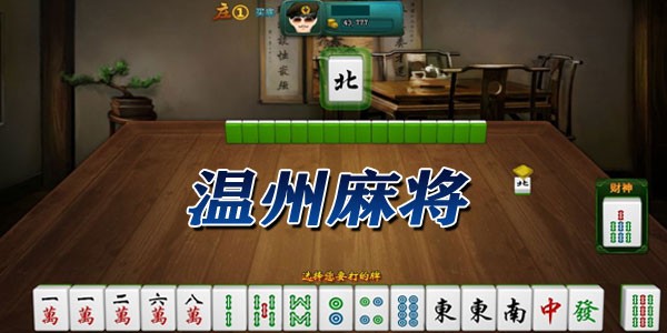 温州麻将全部版本